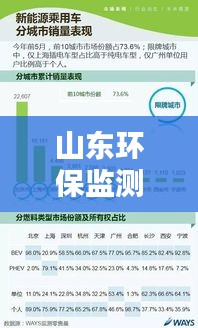 山东环保监测实时数据与河南油补最新信息解析