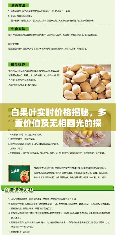 白果叶实时价格揭秘,多重价值及无相回光的探讨