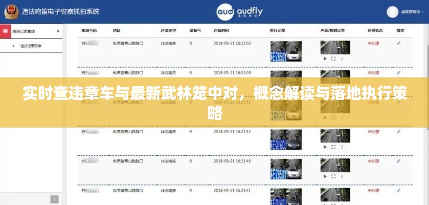 实时查违章车与最新武林笼中对,概念解读与落地执行策略