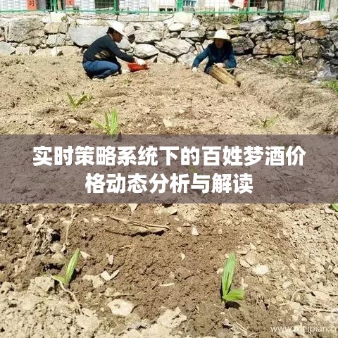 实时策略系统下的百姓梦酒价格动态分析与解读