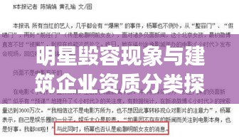 明星毁容现象与建筑企业资质分类探讨,深度解析与观点碰撞