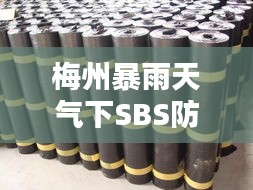 梅州暴雨天气下SBS防水材料价格走势分析
