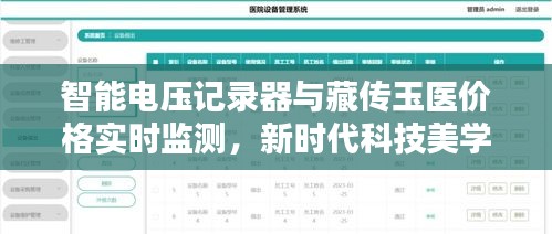 智能电压记录器与藏传玉医价格实时监测,新时代科技美学的优选