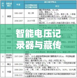 智能电压记录器与藏传玉医价格实时监测,新时代科技美学的优选