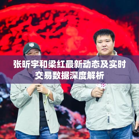 张昕宇和梁红最新动态及实时交易数据深度解析