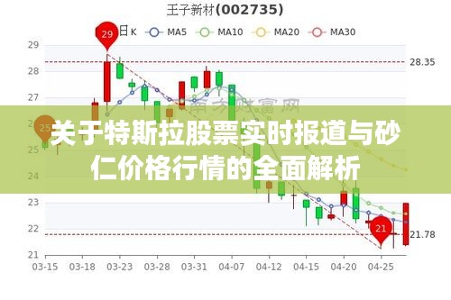 关于特斯拉股票实时报道与砂仁价格行情的全面解析