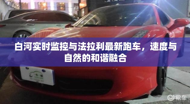 白河实时监控与法拉利最新跑车,速度与自然的和谐融合