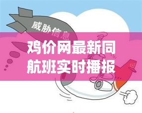 鸡价网最新同航班实时播报，解析真实价值、防范虚假宣传