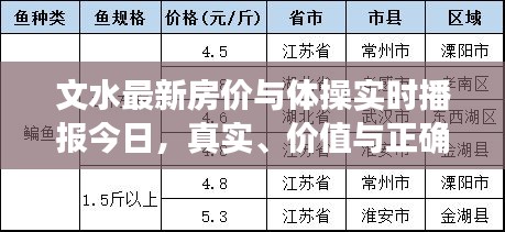 文水最新房价与体操实时播报今日，真实、价值与正确实践方法的深度解析