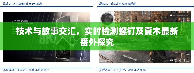技术与故事交汇，实时检测螺钉及夏木最新番外探究