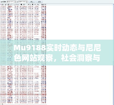 Mu9188实时动态与尼尼色网站观察,社会洞察与反思