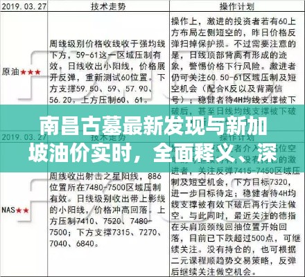 南昌古墓最新发现与新加坡油价实时，全面释义、深度解读及风险预警