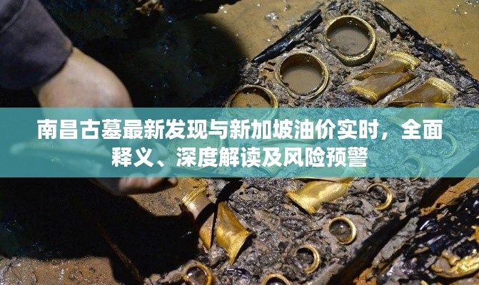 南昌古墓最新发现与新加坡油价实时,全面释义、深度解读及风险预警