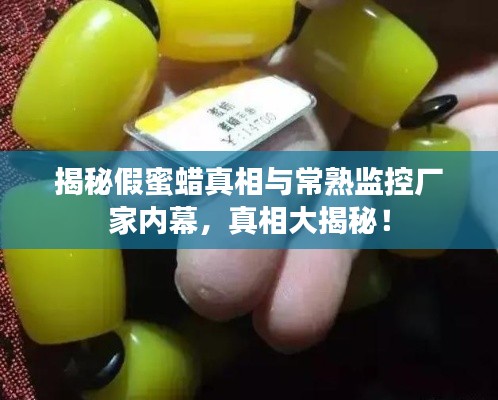 揭秘假蜜蜡真相与常熟监控厂家内幕,真相大揭秘!