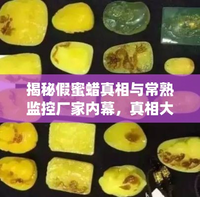 揭秘假蜜蜡真相与常熟监控厂家内幕,真相大揭秘!