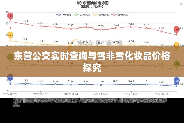 东营公交实时查询与雪非雪化妆品价格探究