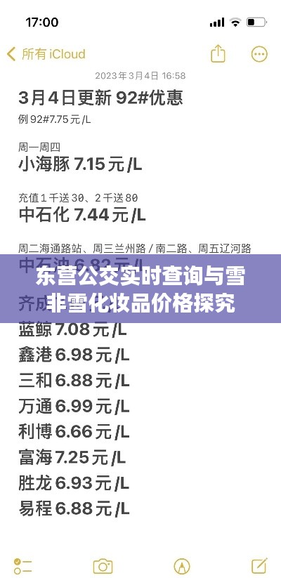 东营公交实时查询与雪非雪化妆品价格探究