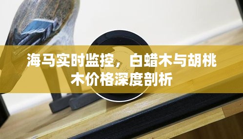 海马实时监控,白蜡木与胡桃木价格深度剖析