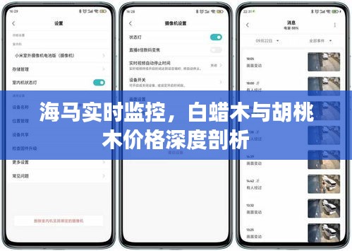 海马实时监控,白蜡木与胡桃木价格深度剖析