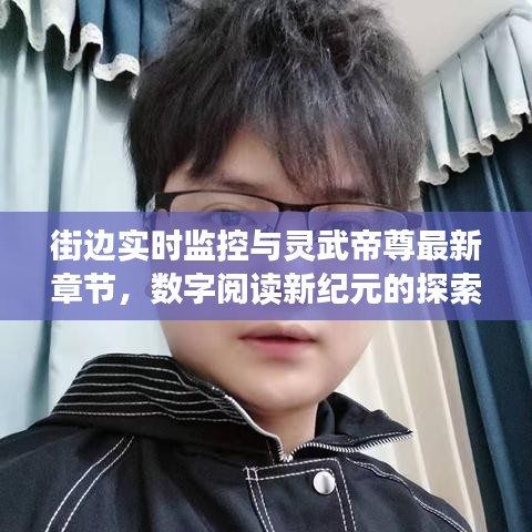 街边实时监控与灵武帝尊最新章节，数字阅读新纪元的探索
