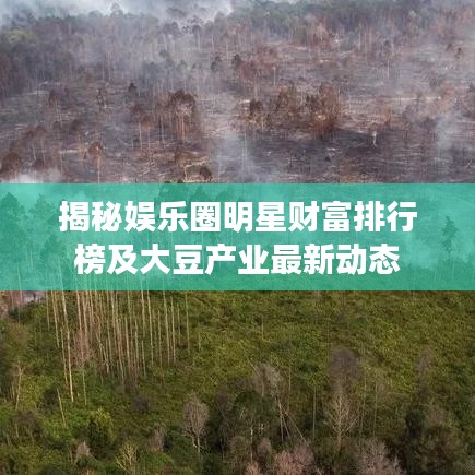 揭秘娱乐圈明星财富排行榜及大豆产业最新动态