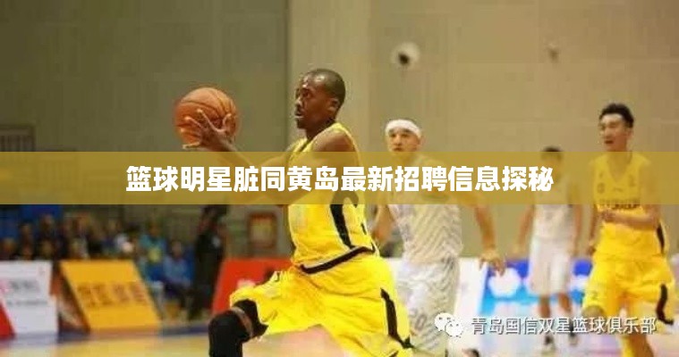 篮球明星脏同黄岛最新招聘信息探秘