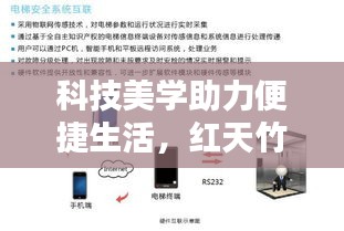 科技美学助力便捷生活,红天竹价格实时弹窗轻松掌握