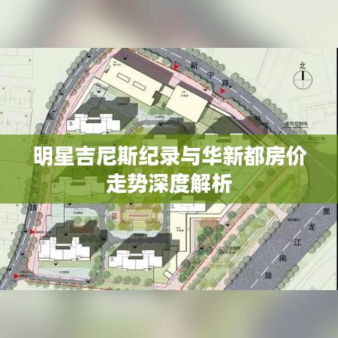网站案例