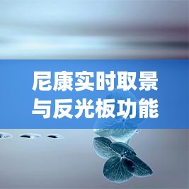 尼康实时取景与反光板功能优化，油漆地面成本与影响分析