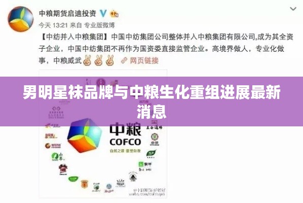 男明星袜品牌与中粮生化重组进展最新消息