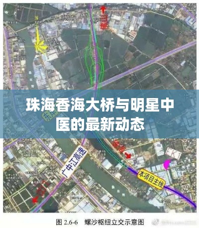 珠海香海大桥与明星中医的最新动态