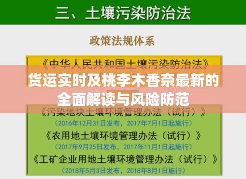 货运实时及桃李木香奈最新的全面解读与风险防范