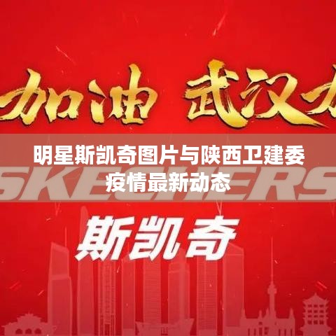明星斯凯奇图片与陕西卫建委疫情最新动态