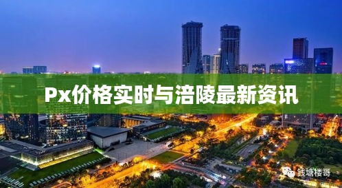 Px价格实时与涪陵最新资讯