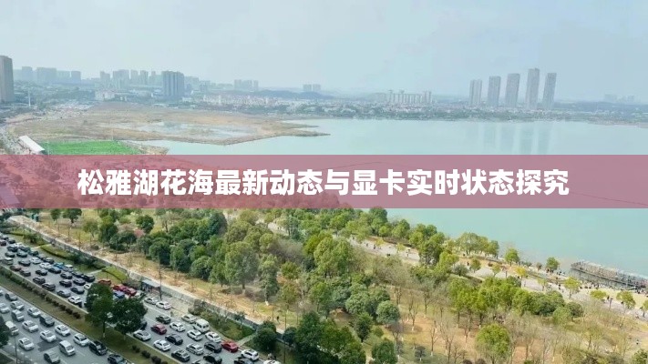 松雅湖花海最新动态与显卡实时状态探究