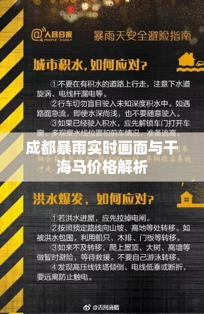 成都暴雨实时画面与干海马价格解析