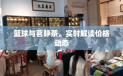 篮球与茗静茶，实时解读价格动态