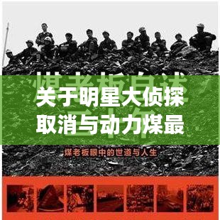 关于明星大侦探取消与动力煤最新利好的深度剖析