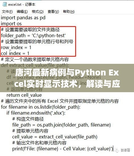 唐河最新病例与Python Excel实时显示技术，解读与应用警惕