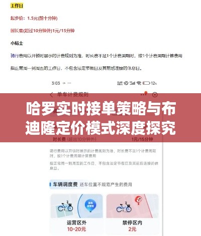 哈罗实时接单策略与布迪隆定价模式深度探究