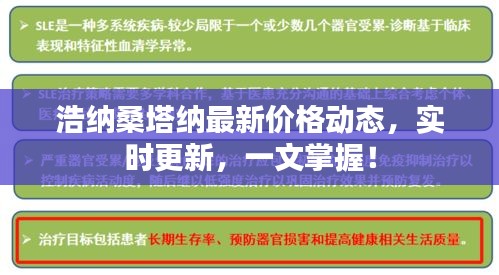 浩纳桑塔纳最新价格动态，实时更新，一文掌握！