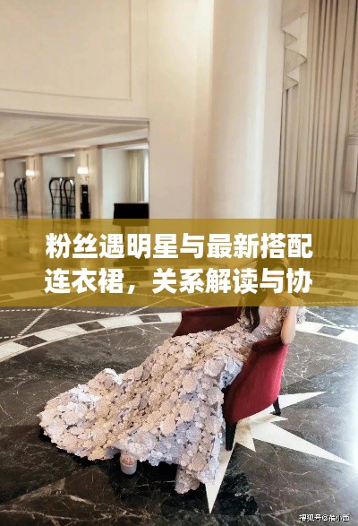 粉丝遇明星与最新搭配连衣裙，关系解读与协同落实的建议