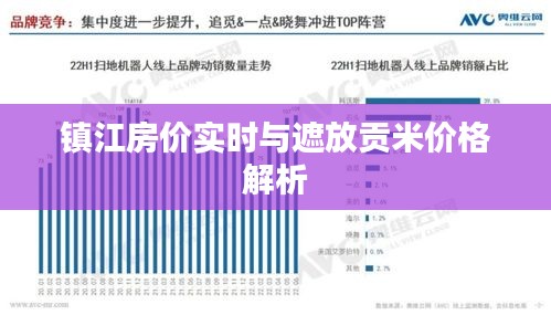 镇江房价实时与遮放贡米价格解析