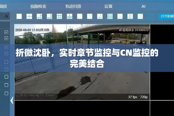 折微沈卧，实时章节监控与CN监控的完美结合