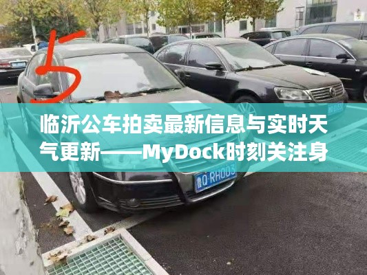 临沂公车拍卖最新信息与实时天气更新——MyDock时刻关注身边动态