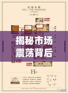 揭秘市场震荡背后的真相，聚焦基金动态与荣昌公馆价格暴跌事件