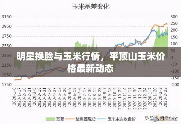 明星换脸与玉米行情，平顶山玉米价格最新动态