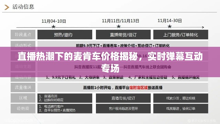 直播热潮下的麦肯车价格揭秘，实时弹幕互动专场