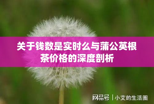 关于钱数是实时么与蒲公英根茶价格的深度剖析