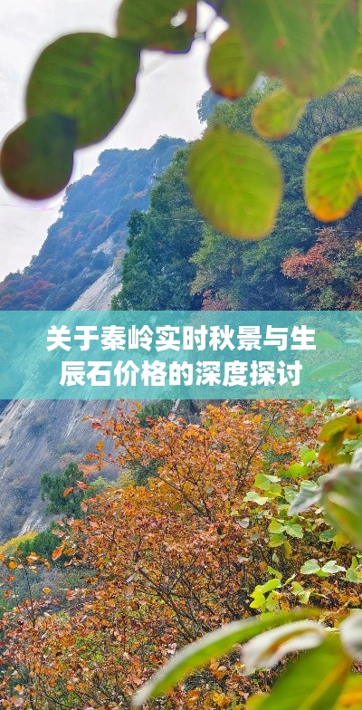 关于秦岭实时秋景与生辰石价格的深度探讨